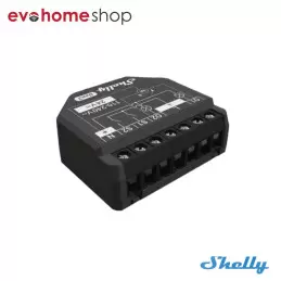 Modulo smart 2PM Gen3...
